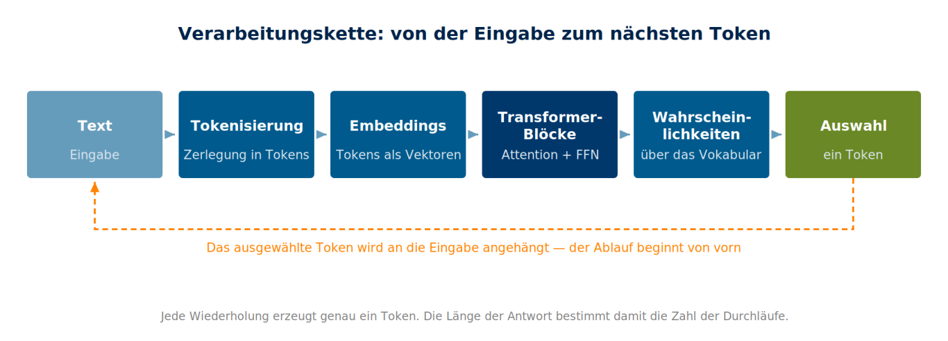 Wie aus Text Token für Token eine Antwort entsteht Sechs Verarbeitungsstufen von der Texteingabe bis zur Auswahl eines Tokens; das gewählte Token wird der Eingabe wieder angehängt.